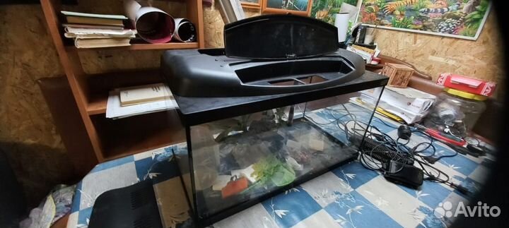 Аквариум домашний