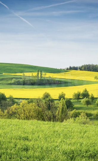 Участок 4,75 га (СНТ, ДНП)