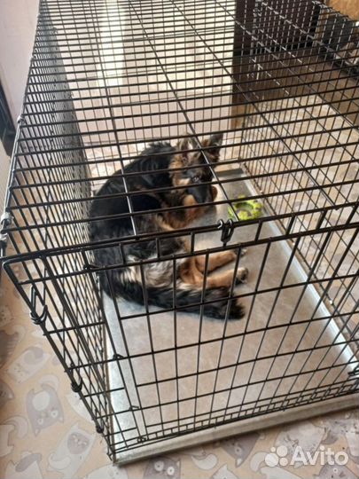 Клетка для собак 6