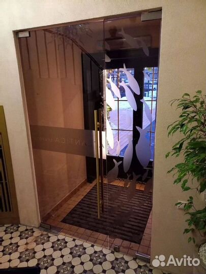 Стеклянная дверь по индивидуальным размерам