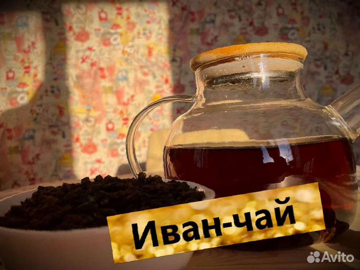 Иван-чай кипрей, душистый, 1000 грамм, свежий 2023