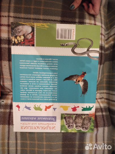 Детские книги и энциклопедии