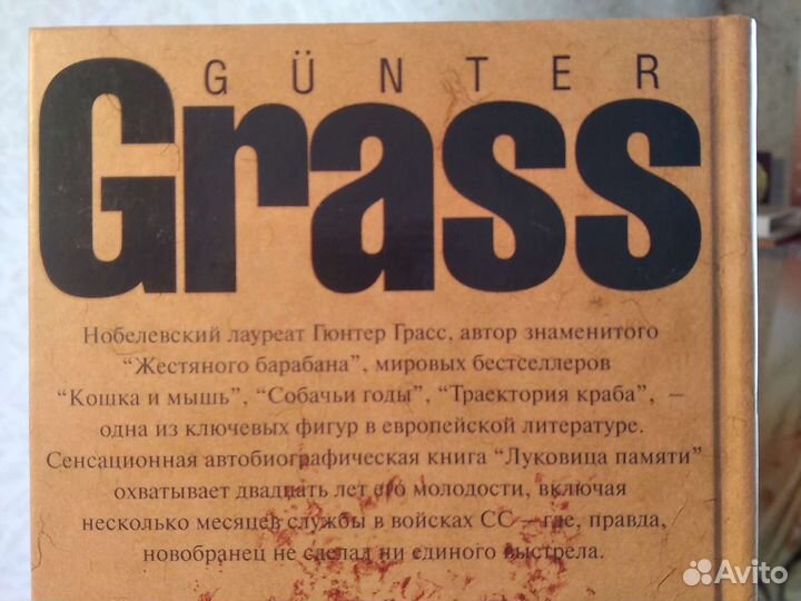 Гюнтер Грасс, Луковица памяти