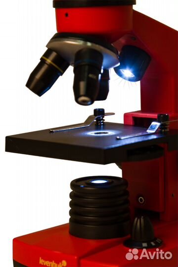 Микроскоп Levenhuk Rainbow 2L