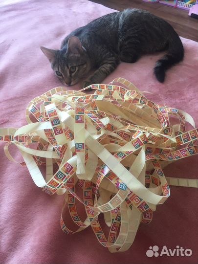 Наклейки магнит