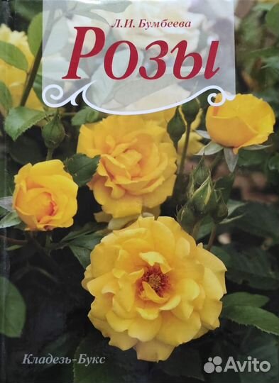 Книга Розы Бумбеева