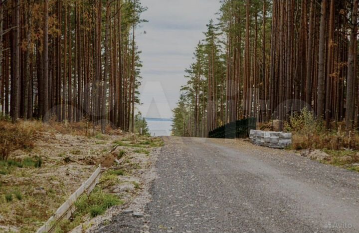 Участок 10 сот. (ИЖС)