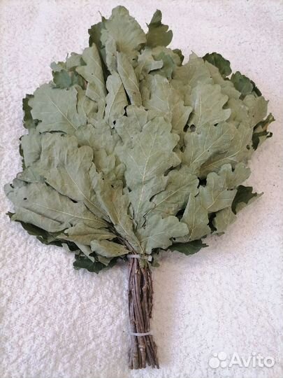 Предзаказ Веники для бани 2023