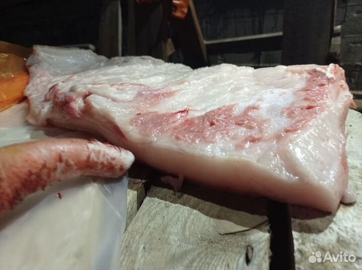 Сало свинное