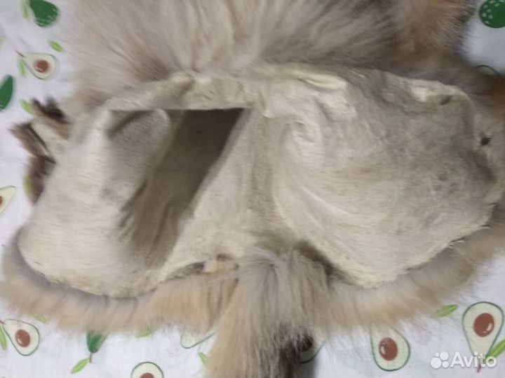 Шкурки лисы