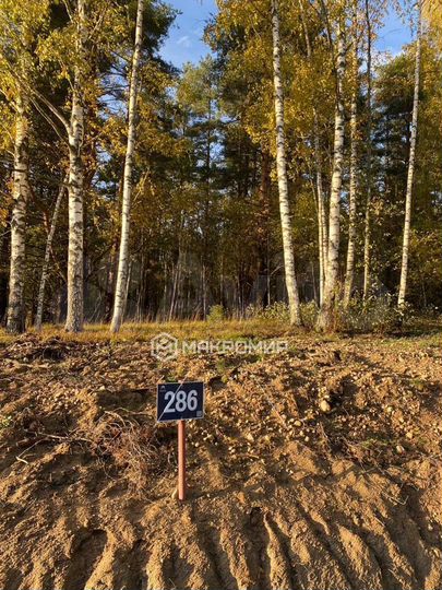 Участок 13 сот. (ИЖС)