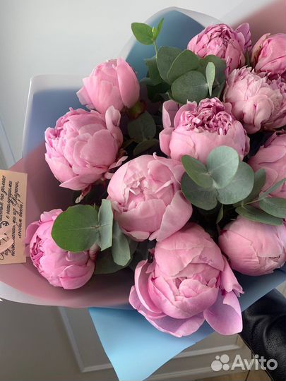 Букет пионов цветы доставка