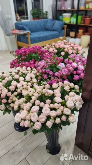 Продавец консультант