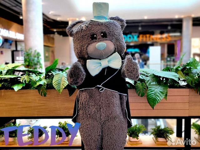 Мишка Тедди поздравление