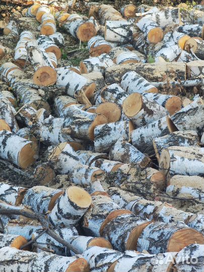 Кольщик дров