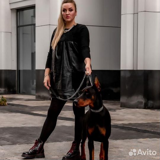 Главный бухгалтер удаленно