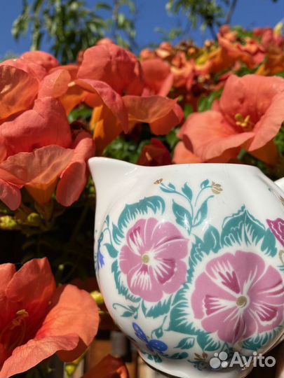 Молочник лфз золотая стрекоза