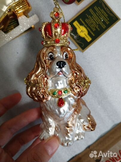 Пёс королевский стекло