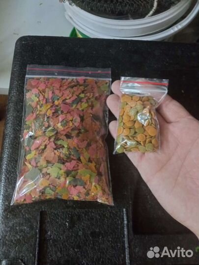 Мотыль,дафния,артемия/цисты,циклоп,сухой корм