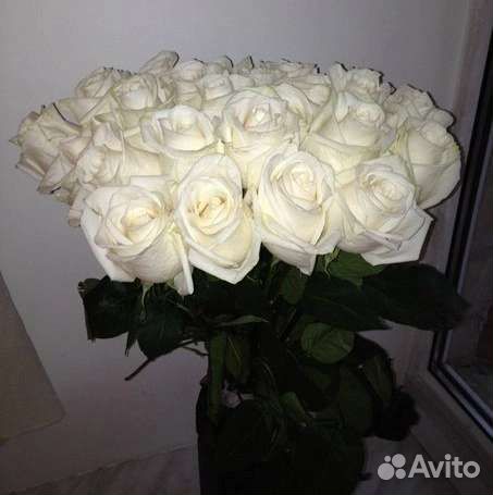 Цветы розы букет