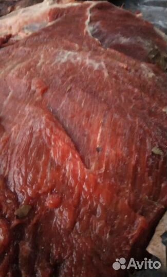 Мясо, кости для собак