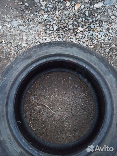 Toyo Proxes T1-R 205/55 R16 95H