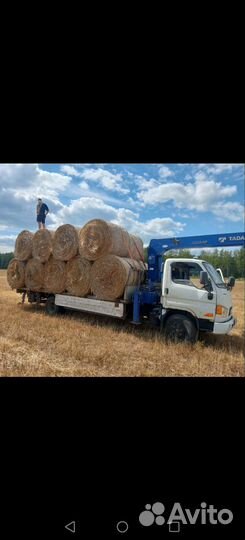 Услуги манипулятора