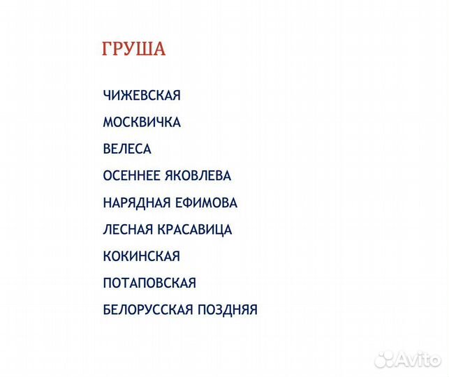 Саженцы