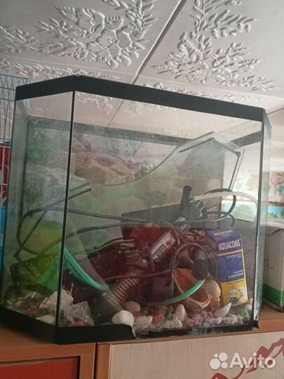 Аквариум