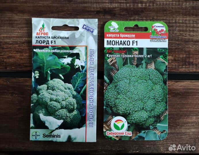 Семена брокколи
