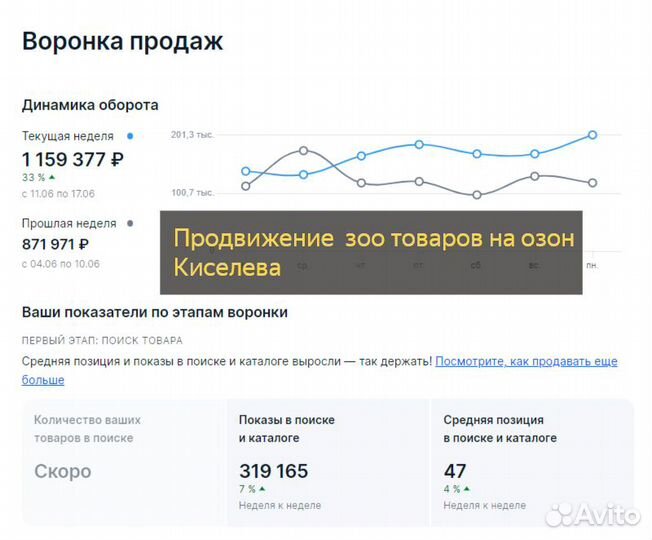 Продвижение на маркетплейсе озон Наставничество Об