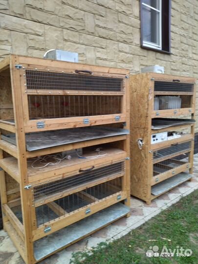 Продажа брудеров для бройлеров, домашней птицы