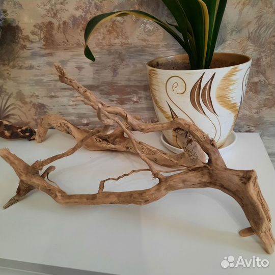 Корешки с камушками