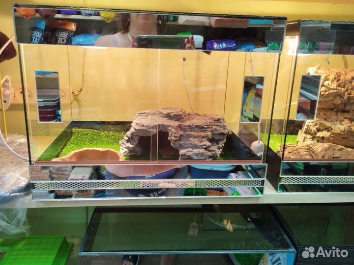 Террариум для рептилий разнообразные