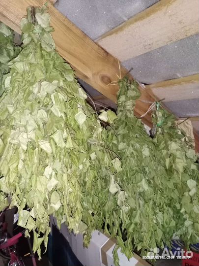 Веники для бани