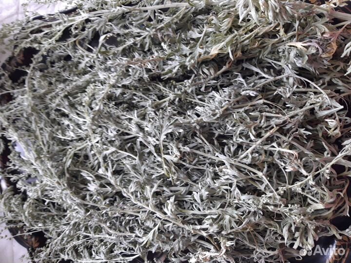 Травы лекарственные,для декора.Скрутки из трав