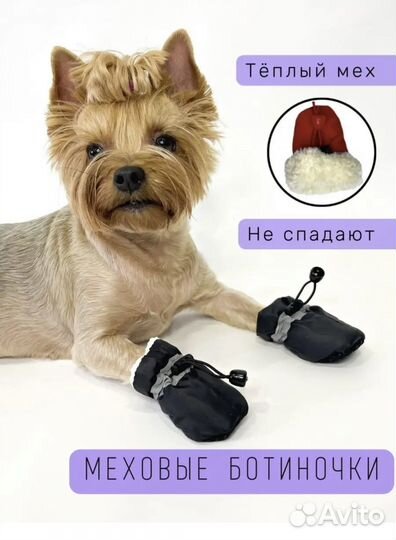 Обувь для собак