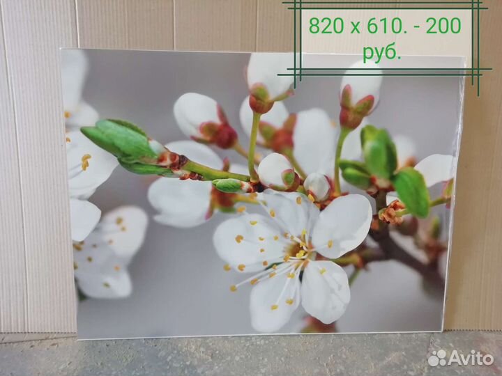 Кухонные фартуки. Остатки