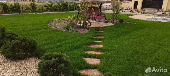 Рулонный газон