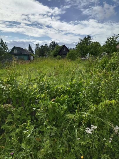 Участок 3 сот. (СНТ, ДНП)