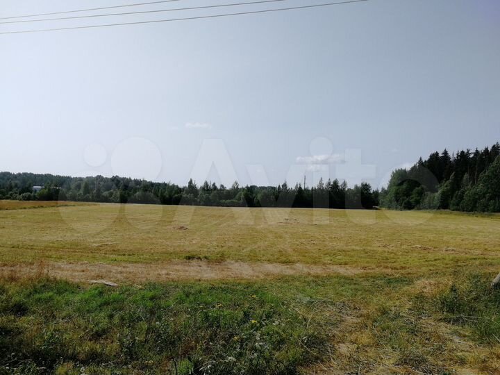 Участок 4,8 га (ИЖС)