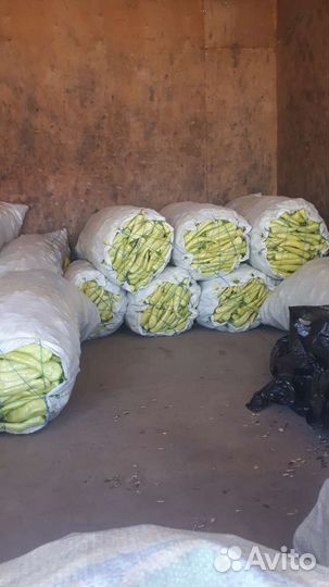 Цицак, грузинский перец