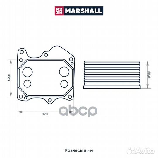 Радиатор масляный Citroen Jumper II 06, Ford T