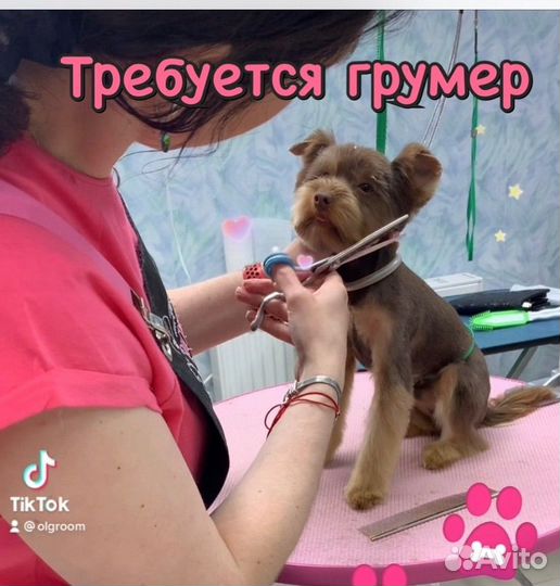 Грумер/ помощник грумера
