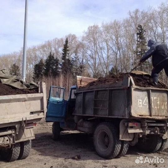 Чернозем жирный Навоз коровий,зил 6Т,камаз 15т,газ