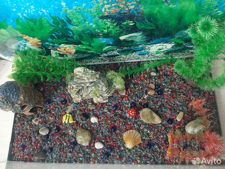 Аквариум