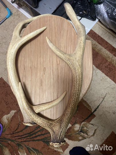 Медальон для рогов щит