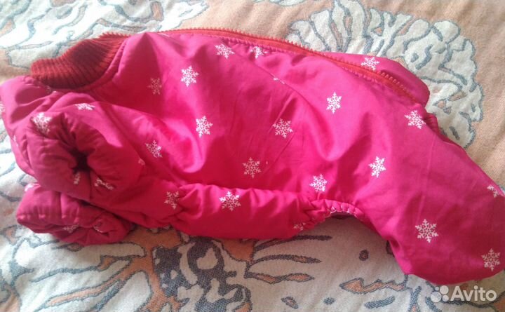 Комбинезон весна осень для маленьких собачек