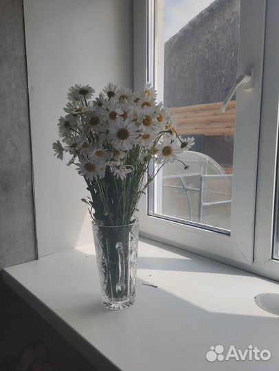 Букет из ромашек