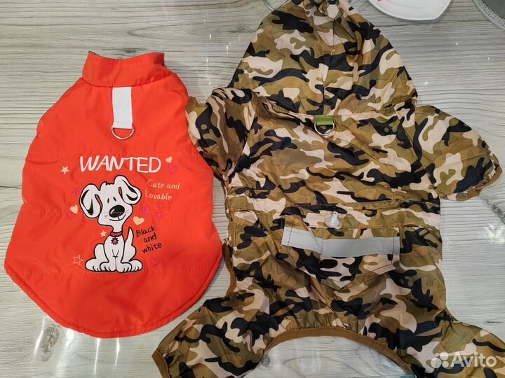 Одежда для собак
